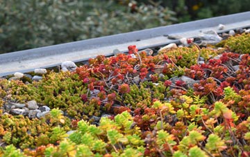 the cost of Yockleton green roof installation